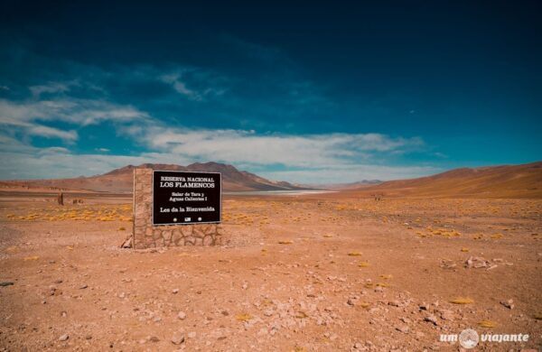 MONJES DE LA PACANA & LAGUNAS ANDINAS