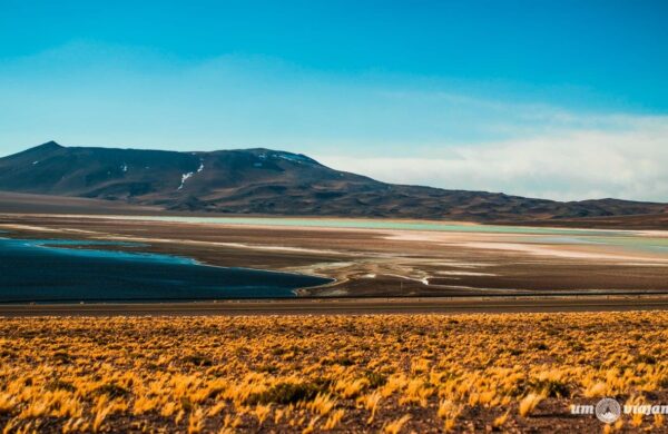 MONJES DE LA PACANA & LAGUNAS ANDINAS