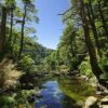 Parque Nacional Huerquehue