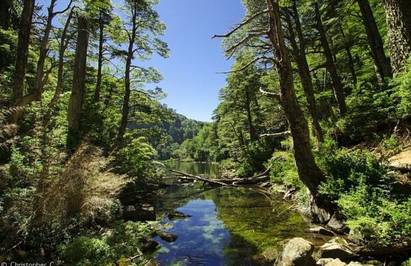 Parque Nacional Huerquehue