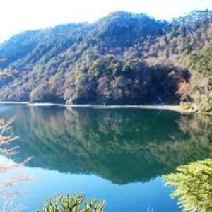 Parque Nacional Huerquehue