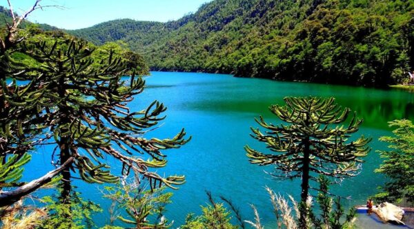 TREKKING PARQUE NACIONAL HUERQUEHUE