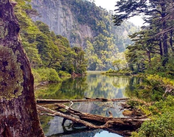 TREKKING PARQUE NACIONAL HUERQUEHUE