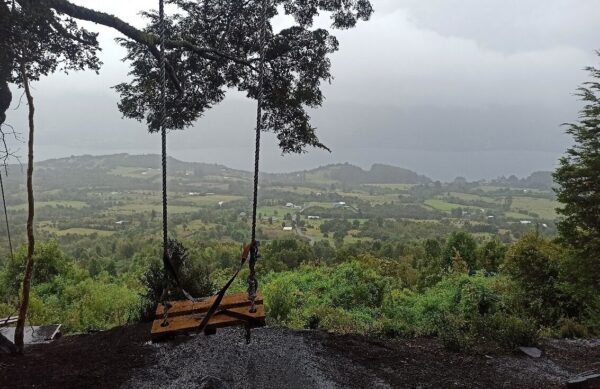 Coihue dos Balanços